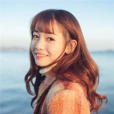 圣域龙斗士官方版下载